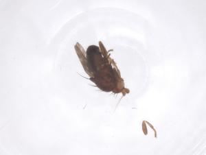  ( - CBG-B01089-G12)  @11 [ ] CreativeCommons - Attribution Share - Alike (2025) Centre for Biodiversity Genomics Centre for Biodiversity Genomics