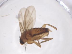  ( - CBG-B01121-H06)  @11 [ ] CreativeCommons - Attribution Share - Alike (2025) Centre for Biodiversity Genomics Centre for Biodiversity Genomics