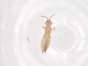  ( - CBG-B02693-H11)  @11 [ ] CreativeCommons - Attribution Share - Alike (2025) Centre for Biodiversity Genomics Centre for Biodiversity Genomics