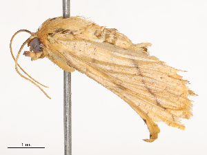  ( - CBG-B21857-E04)  @11 [ ] CreativeCommons - Attribution Share - Alike (2025) CBG Photography Group Centre for Biodiversity Genomics