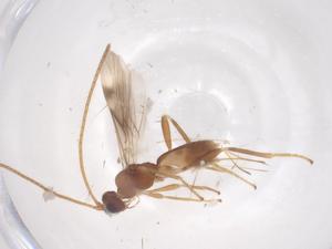  ( - CBG-B22360-E10)  @11 [ ] CreativeCommons - Attribution Share - Alike (2025) Centre for Biodiversity Genomics Centre for Biodiversity Genomics