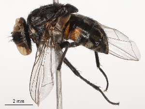  ( - CBG-B22381-A06)  @11 [ ] CreativeCommons - Attribution Share - Alike (2025) CBG Photography Group Centre for Biodiversity Genomics