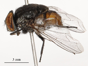  ( - CBG-B22381-A08)  @11 [ ] CreativeCommons - Attribution Share - Alike (2025) CBG Photography Group Centre for Biodiversity Genomics
