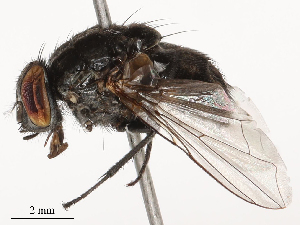  ( - CBG-B22381-A09)  @11 [ ] CreativeCommons - Attribution Share - Alike (2025) CBG Photography Group Centre for Biodiversity Genomics