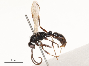  ( - CBG-B22381-E08)  @11 [ ] CreativeCommons - Attribution Share - Alike (2025) CBG Photography Group Centre for Biodiversity Genomics