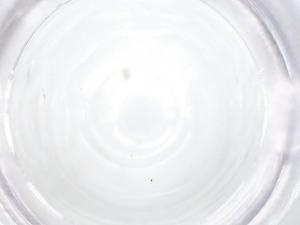  ( - CBG-B22433-F01)  @11 [ ] CreativeCommons - Attribution Share - Alike (2025) Centre for Biodiversity Genomics Centre for Biodiversity Genomics