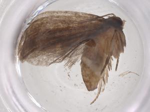  ( - CBG-B22482-A03)  @11 [ ] CreativeCommons - Attribution Share - Alike (2025) Centre for Biodiversity Genomics Centre for Biodiversity Genomics