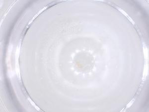  (Typhlodromips asiaticus - CBG-B00434-C07)  @11 [ ] CreativeCommons - Attribution Share - Alike (2025) Centre for Biodiversity Genomics Centre for Biodiversity Genomics