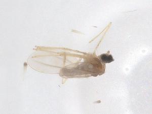  ( - CBG-B02781-F04)  @11 [ ] CreativeCommons - Attribution Share - Alike (2025) Centre for Biodiversity Genomics Centre for Biodiversity Genomics