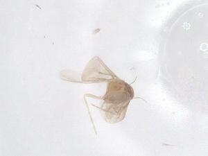  ( - CBG-B02781-F10)  @11 [ ] CreativeCommons - Attribution Share - Alike (2025) Centre for Biodiversity Genomics Centre for Biodiversity Genomics