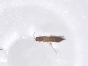  ( - CBG-B04887-D03)  @11 [ ] CreativeCommons - Attribution Share - Alike (2025) Centre for Biodiversity Genomics Centre for Biodiversity Genomics