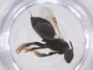  ( - CBG-B05120-F05)  @11 [ ] CreativeCommons - Attribution Share - Alike (2025) Centre for Biodiversity Genomics Centre for Biodiversity Genomics