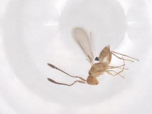  ( - CBG-B05122-E09)  @11 [ ] CreativeCommons - Attribution Share - Alike (2025) Centre for Biodiversity Genomics Centre for Biodiversity Genomics