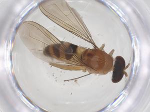  ( - CBG-B05141-C04)  @11 [ ] CreativeCommons - Attribution Share - Alike (2025) Centre for Biodiversity Genomics Centre for Biodiversity Genomics