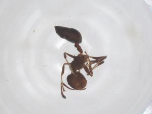  ( - CBG-B05149-D03)  @11 [ ] CreativeCommons - Attribution Share - Alike (2025) Centre for Biodiversity Genomics Centre for Biodiversity Genomics