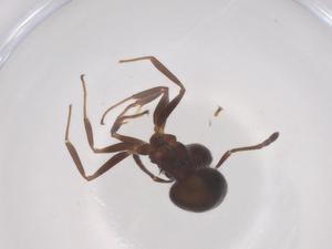  ( - CBG-B05150-C03)  @11 [ ] CreativeCommons - Attribution Share - Alike (2025) Centre for Biodiversity Genomics Centre for Biodiversity Genomics