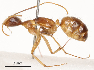  ( - CBG-B21965-F11)  @11 [ ] CreativeCommons - Attribution Share - Alike (2025) CBG Photography Group Centre for Biodiversity Genomics