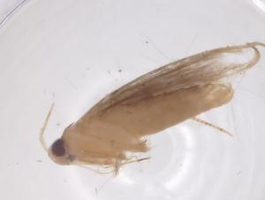  ( - CBG-B22345-H02)  @11 [ ] CreativeCommons - Attribution Share - Alike (2025) Centre for Biodiversity Genomics Centre for Biodiversity Genomics