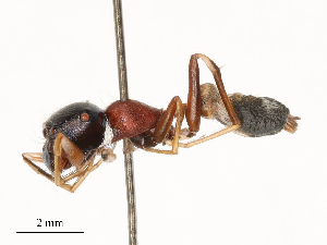  ( - CBG-B22372-E12)  @11 [ ] CreativeCommons - Attribution Share - Alike (2025) CBG Photography Group Centre for Biodiversity Genomics