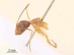  ( - CBG-B22384-B11)  @11 [ ] CreativeCommons - Attribution Share - Alike (2025) CBG Photography Group Centre for Biodiversity Genomics