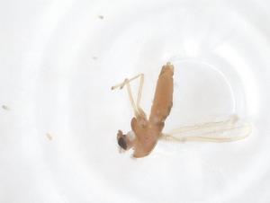  ( - CBG-B22406-H07)  @11 [ ] CreativeCommons - Attribution Share - Alike (2025) Centre for Biodiversity Genomics Centre for Biodiversity Genomics