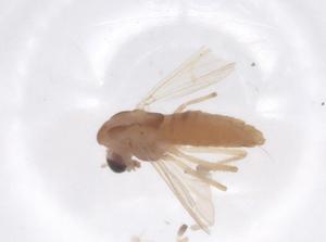  ( - CBG-B22408-D12)  @11 [ ] CreativeCommons - Attribution Share - Alike (2025) Centre for Biodiversity Genomics Centre for Biodiversity Genomics