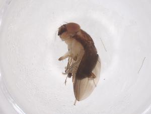  ( - CBG-B23568-E10)  @11 [ ] CreativeCommons - Attribution Share - Alike (2025) Centre for Biodiversity Genomics Centre for Biodiversity Genomics