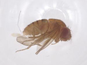  ( - CBG-B00387-H10)  @11 [ ] CreativeCommons - Attribution Share - Alike (2025) Centre for Biodiversity Genomics Centre for Biodiversity Genomics