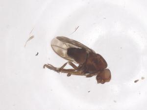  ( - CBG-B04433-E03)  @11 [ ] CreativeCommons - Attribution Share - Alike (2025) Centre for Biodiversity Genomics Centre for Biodiversity Genomics