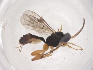  ( - CBG-B00248-A08)  @11 [ ] CreativeCommons - Attribution Share - Alike (2025) Centre for Biodiversity Genomics Centre for Biodiversity Genomics