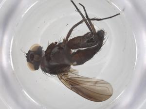  ( - CBG-B00249-G10)  @11 [ ] CreativeCommons - Attribution Share - Alike (2025) Centre for Biodiversity Genomics Centre for Biodiversity Genomics