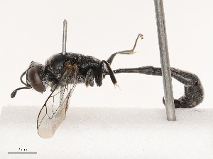  ( - CBG-B21970-G05)  @11 [ ] CreativeCommons - Attribution Share - Alike (2025) CBG Photography Group Centre for Biodiversity Genomics