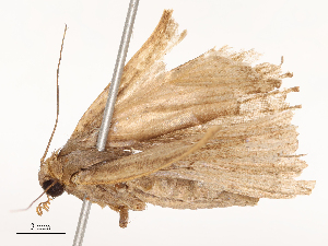  ( - CBG-B22369-F10)  @11 [ ] CreativeCommons - Attribution Share - Alike (2025) CBG Photography Group Centre for Biodiversity Genomics