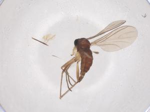  ( - CBG-B23870-E02)  @11 [ ] CreativeCommons - Attribution Share - Alike (2025) Centre for Biodiversity Genomics Centre for Biodiversity Genomics