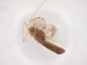  ( - CBG-B23873-F02)  @11 [ ] CreativeCommons - Attribution Share - Alike (2025) Centre for Biodiversity Genomics Centre for Biodiversity Genomics