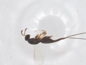  ( - CBG-B02669-E07)  @11 [ ] CreativeCommons - Attribution Share - Alike (2025) Centre for Biodiversity Genomics Centre for Biodiversity Genomics