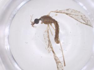  ( - CBG-B02672-C08)  @11 [ ] CreativeCommons - Attribution Share - Alike (2025) Centre for Biodiversity Genomics Centre for Biodiversity Genomics