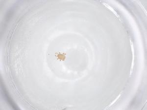  ( - CBG-B23820-H05)  @11 [ ] CreativeCommons - Attribution Share - Alike (2025) Centre for Biodiversity Genomics Centre for Biodiversity Genomics