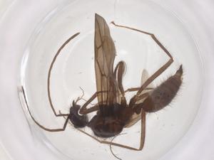  ( - CBG-B23878-A05)  @11 [ ] CreativeCommons - Attribution Share - Alike (2025) Centre for Biodiversity Genomics Centre for Biodiversity Genomics