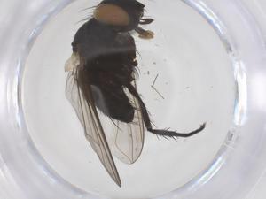  ( - CBG-B23896-B08)  @11 [ ] CreativeCommons - Attribution Share - Alike (2025) Centre for Biodiversity Genomics Centre for Biodiversity Genomics