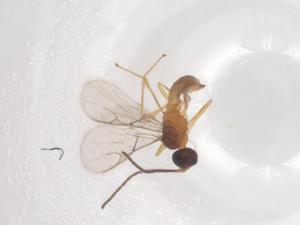  ( - CBG-B23921-G10)  @11 [ ] CreativeCommons - Attribution Share - Alike (2025) Centre for Biodiversity Genomics Centre for Biodiversity Genomics