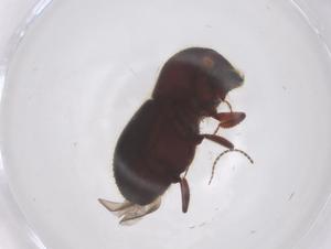  ( - CBG-B15539-A02)  @11 [ ] CreativeCommons - Attribution Share - Alike (2025) Centre for Biodiversity Genomics Centre for Biodiversity Genomics