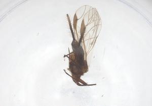  ( - CBG-B15765-B01)  @11 [ ] CreativeCommons - Attribution Share - Alike (2025) Centre for Biodiversity Genomics Centre for Biodiversity Genomics