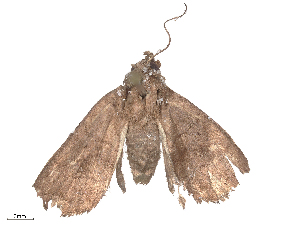  ( - CBG-B24049-D02)  @11 [ ] CreativeCommons - Attribution Share - Alike (2025) CBG Photography Group Centre for Biodiversity Genomics