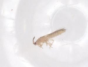  ( - CBG-B24169-E10)  @11 [ ] CreativeCommons - Attribution Share - Alike (2025) Centre for Biodiversity Genomics Centre for Biodiversity Genomics