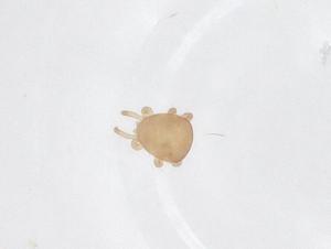  ( - CBG-B15801-A07)  @11 [ ] CreativeCommons - Attribution Share - Alike (2025) Centre for Biodiversity Genomics Centre for Biodiversity Genomics