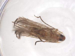  ( - CBG-B15836-H06)  @11 [ ] CreativeCommons - Attribution Share - Alike (2025) Centre for Biodiversity Genomics Centre for Biodiversity Genomics