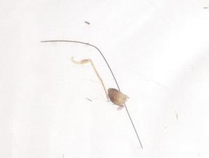  ( - CBG-B16110-H03)  @11 [ ] CreativeCommons - Attribution Share - Alike (2025) Centre for Biodiversity Genomics Centre for Biodiversity Genomics