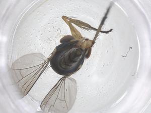  ( - CBG-B16410-H10)  @11 [ ] CreativeCommons - Attribution Share - Alike (2025) Centre for Biodiversity Genomics Centre for Biodiversity Genomics