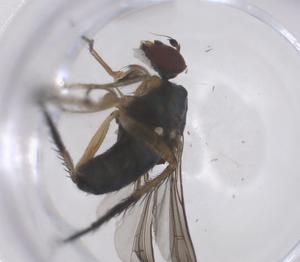  ( - CBG-B16415-D10)  @11 [ ] CreativeCommons - Attribution Share - Alike (2025) Centre for Biodiversity Genomics Centre for Biodiversity Genomics